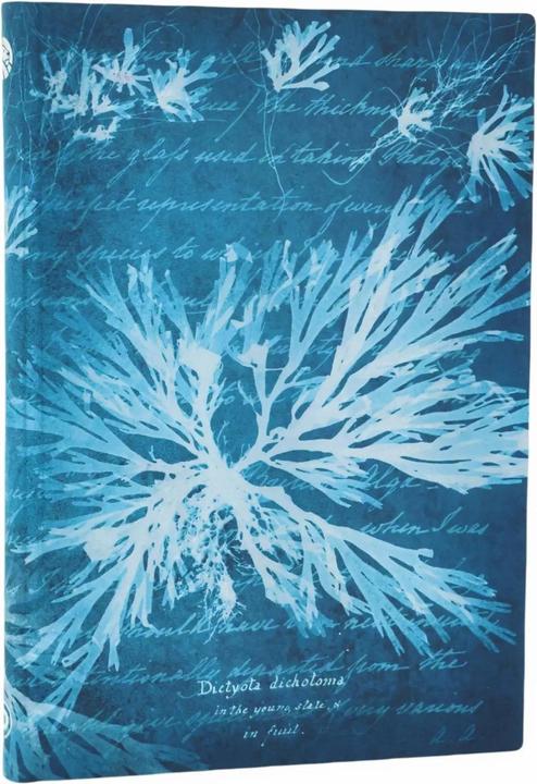 Produktbild Paperblanks Notizbuch Softcover Meeresblumen Midi Unliniert (A5, Blanko, Weicher Einband)