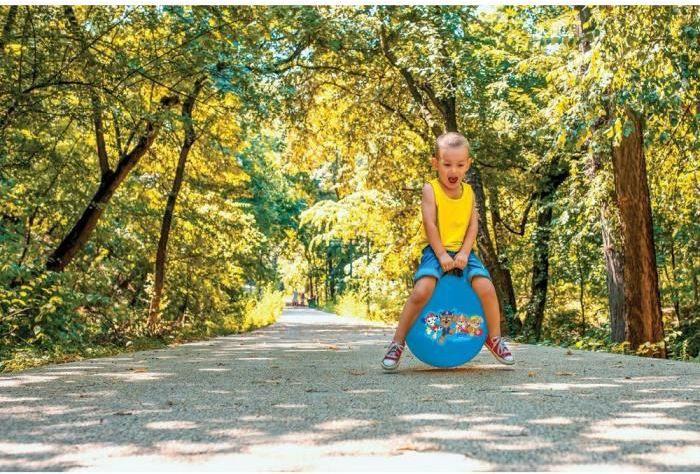Produktbild Lexibook Paw Patrol Aufblasbarer Hüpfball 45cm
