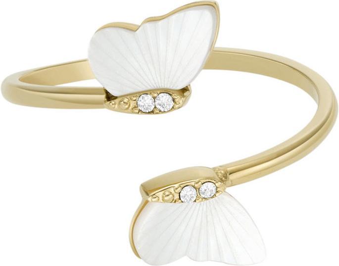 Produktbild Fossil Radiant Wings (50)