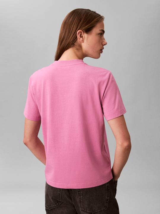 Actual product image Calvin Klein Jeans A- Inst. Logo Classic Tee Ss (XS)