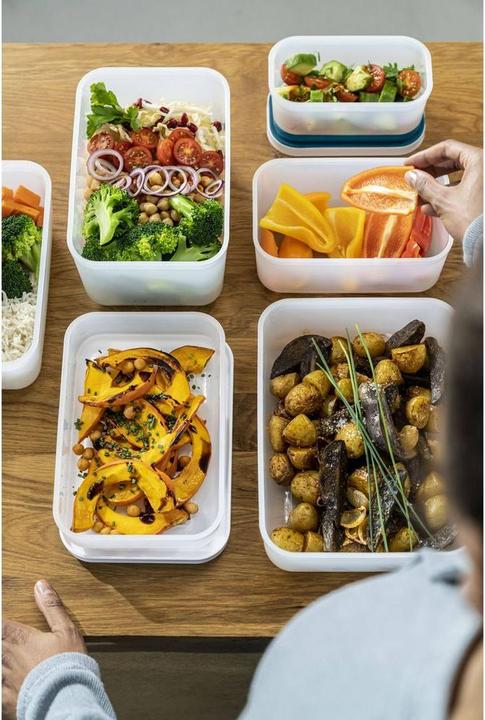 Actual product image Zwilling Dinox FRESH & SAVE plastic lunch box 36801-314-0 1 6 L