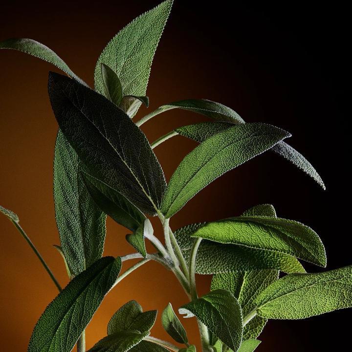 Produktbild Dolce & Gabbana D&G The One for Men edp vapo (Eau de Parfum, 100 ml)