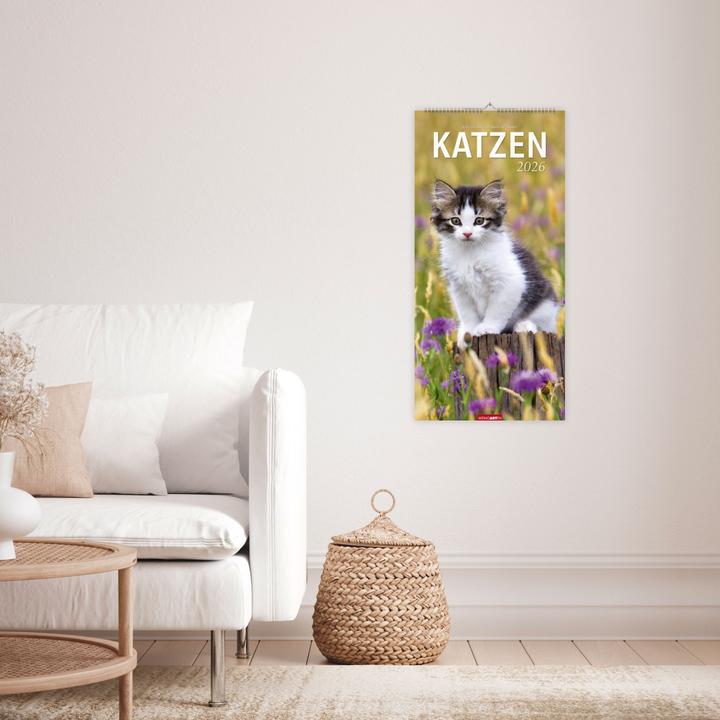 Produktbild Katzen Kalender 2026 (33 x 68 cm)