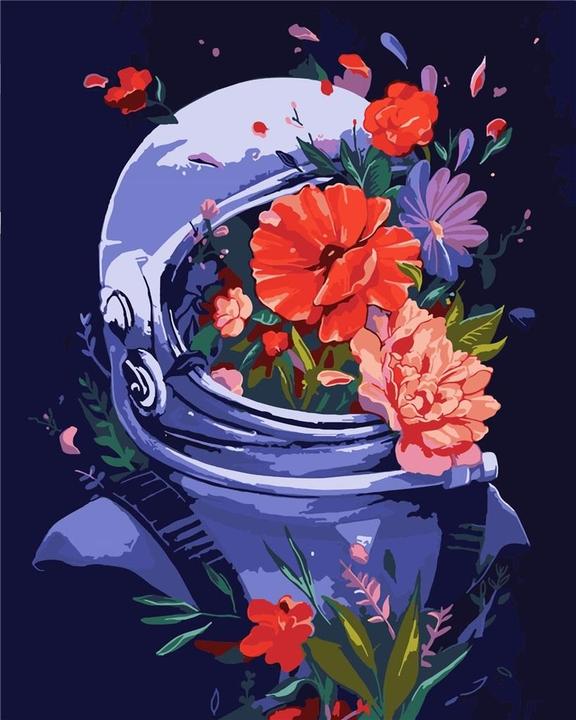 Norimpex Malen nach Zahlen - Kosmische Schönheit 40x50cm
