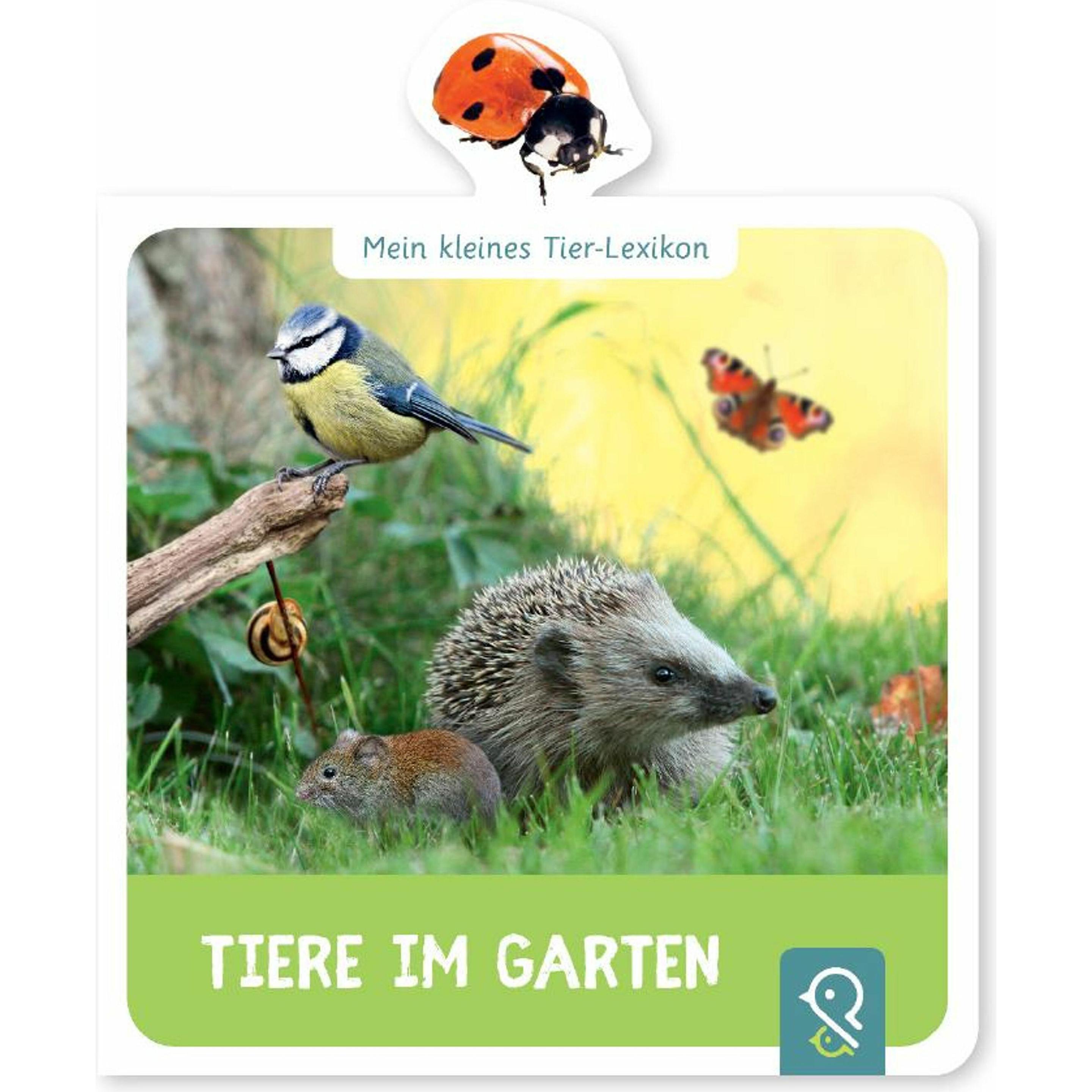 Tiere im Garten, Kinderbücher von Hannah Kastenhuber