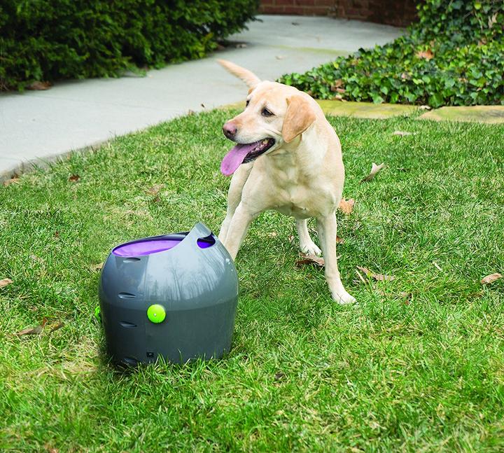 Actual product image PetSafe Ball thrower (Ball toy dog)