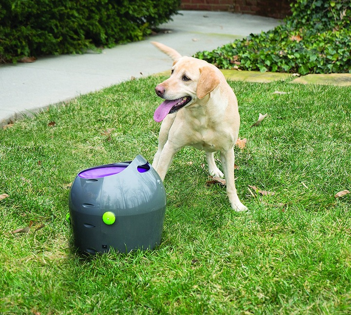 Immagine prodotto PetSafe Lanciatore di palle (Palla giocattolo per cani)