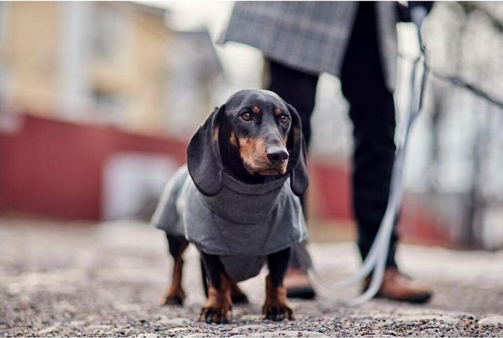 Produktbild Hurtta Expedition Parka II, blackberry 65 (65, Hundemantel)