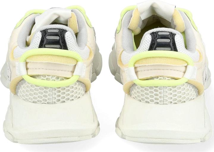 Actual product image Lacoste Sneaker (37)