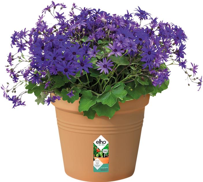 Produktbild Elho Green Basics (27 cm)