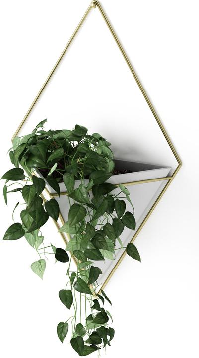 Actual product image Umbra Trig (9.50 cm)