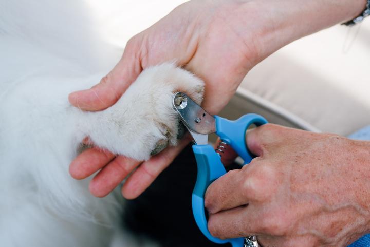 Produktbild Zen Clipper Sichere Krallenschere (Hund, Katze)