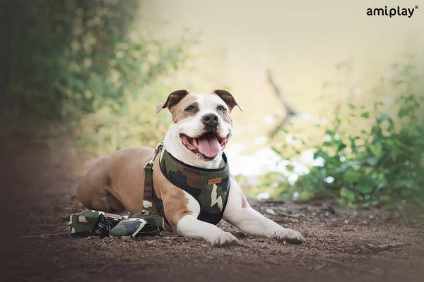 Actual product image amiplay Adventure poo bag dispenser, 6 x 2 x 11 cm, camo (Dog)