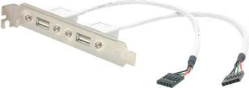 Actual product image StarTech 2-port USB A bracket adapter (female) (USB-A, 28.60 cm)