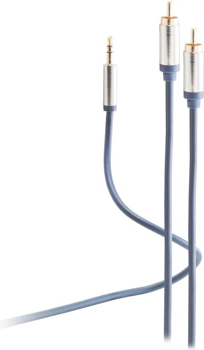 Image du produit Shiverpeaks Câble audio, 2 x fiches RCA (0.75 m, RCA)