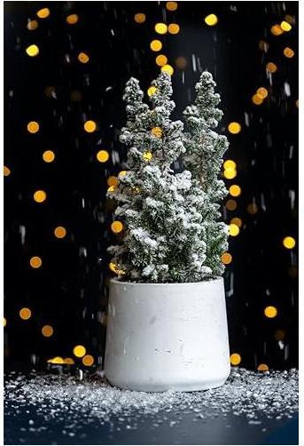 Image du produit Pottery Pots Patt XL (23 x 19.50 cm)