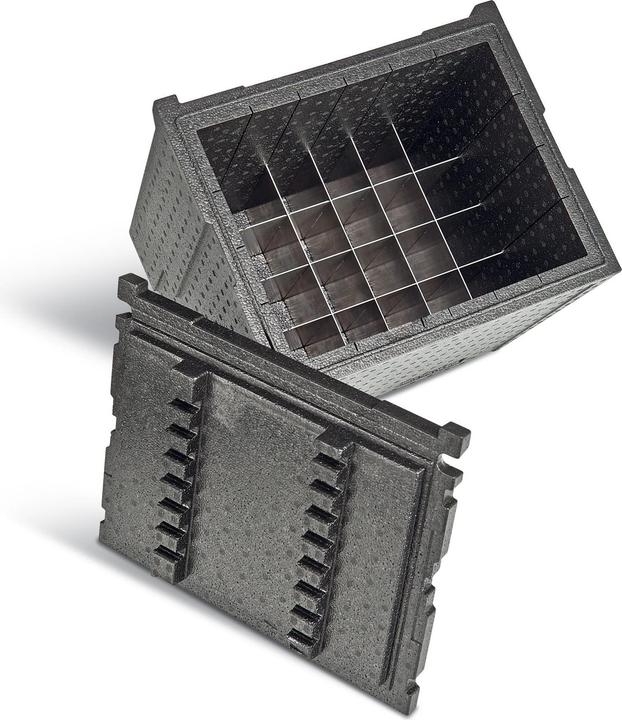 L-Boxx Thermoeinsatz 238