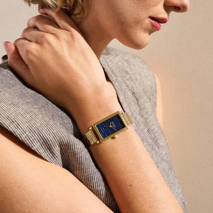 Image du produit Skagen Hagen (43 mm)