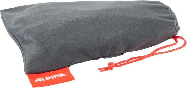 Actual product image Alpina Sports Turbo HR Q-Lite (Smoke-grey matt, Gold)