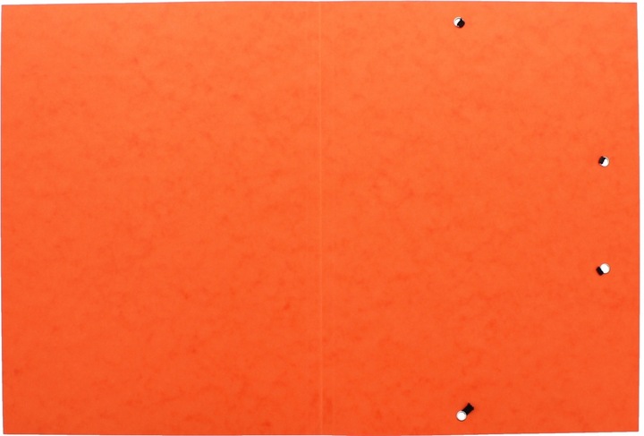Produktbild Pagna Spannmappen A4 (A4, 1 x)