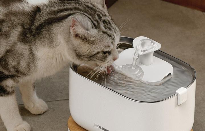 Produktbild Petlibro Dockstream-Trinkbrunnen mit App (2.50 l)