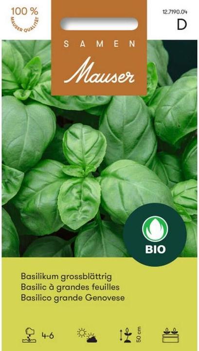 Actual product image Samen Mauser Bud organic basil large-leaved (Herb seeds)