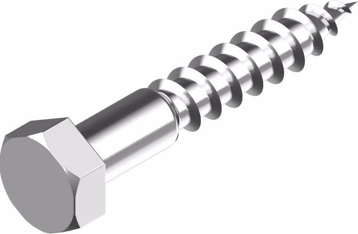 Wasi Hexagon wood screws DIN 571 - stainless steel A2 8x 60