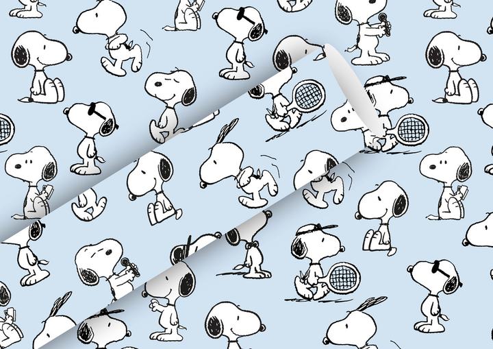 Actual product image Braun Geschenkpapier 2mx70cm (1x)