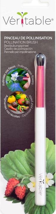 Actual product image Véritable Bestäubungspinsel
