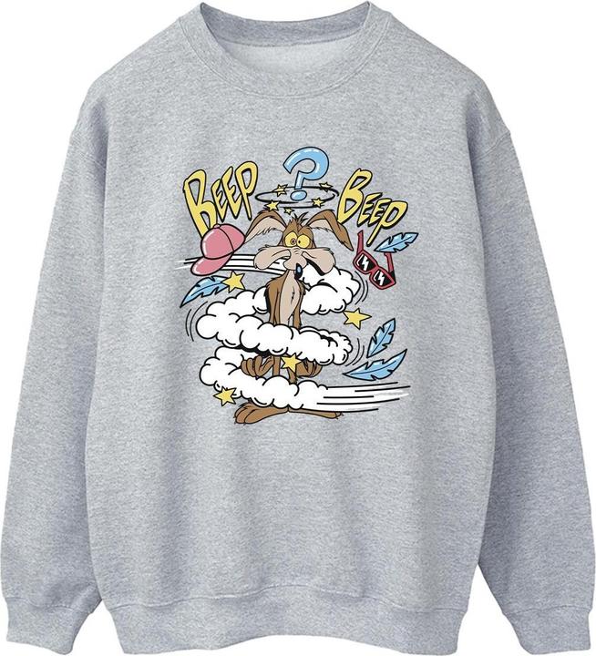 Produktbild Looney Tunes Coyote Daze Sweatshirt (M)