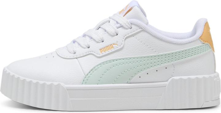 Puma Carina 3.0 (29)