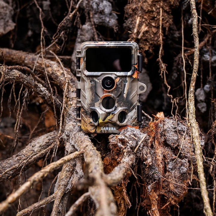 Actual product image Caruba Wildcamera Moose 4K
