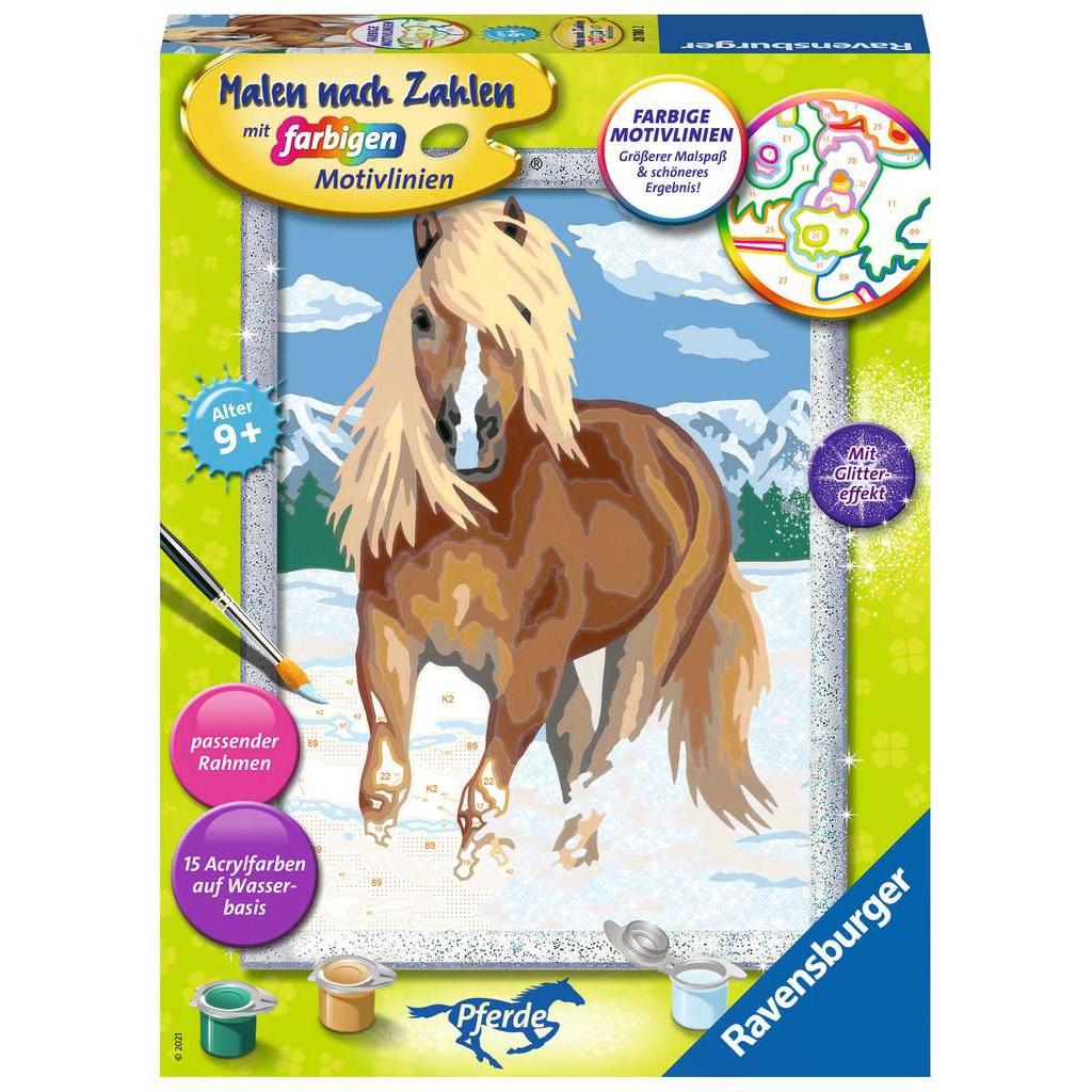 Ravensburger Haflinger im Schnee