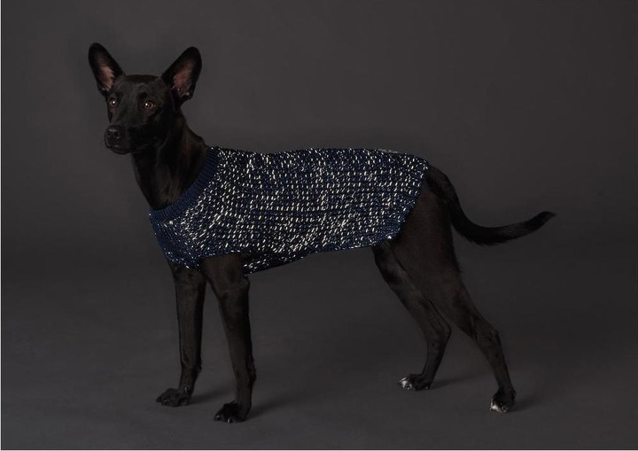 Immagine prodotto Hunter Cane maglione Finja (50, Maglione per cani)