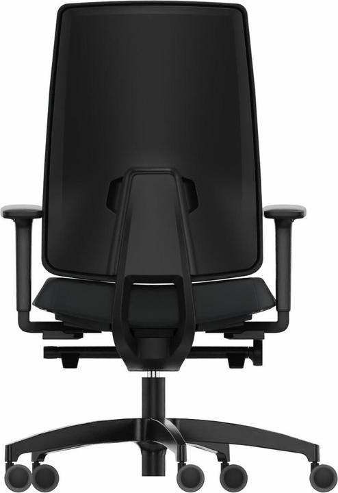 Immagine prodotto Dauphin Indeed (40 - 52 cm)