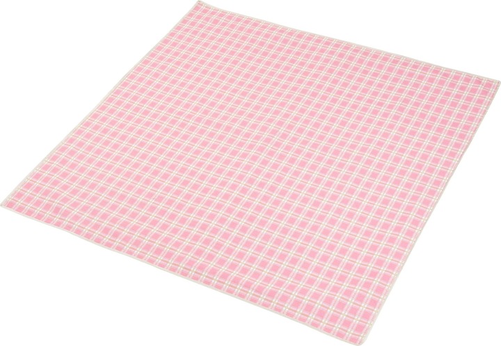 Actual product image Casa.Pro Picknickkorb Bucchianico für 2 Personen Komplettset