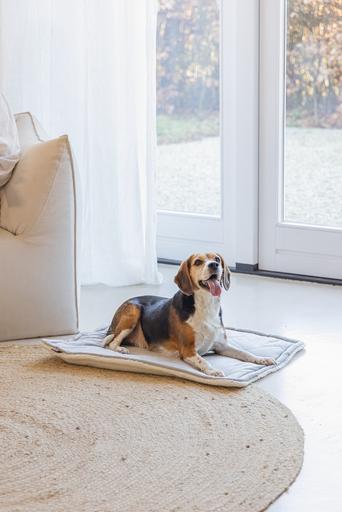 Produktbild Designed by Lotte Liegekissen Nalino (Hund)