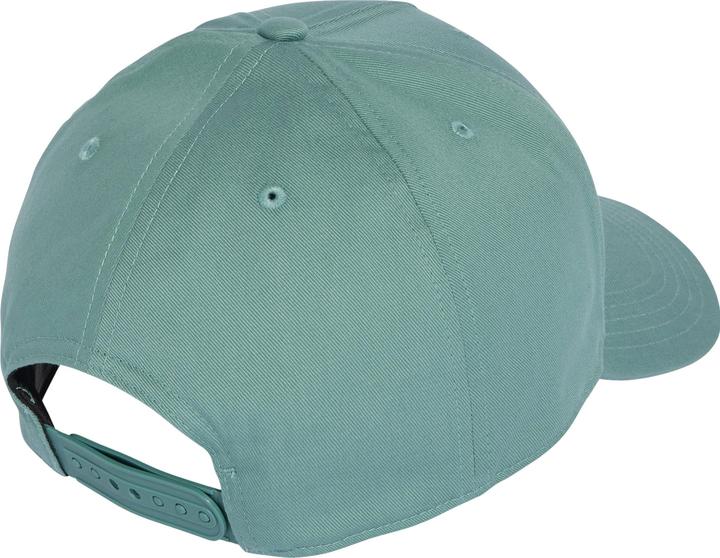 Actual product image adidas Daily (60)