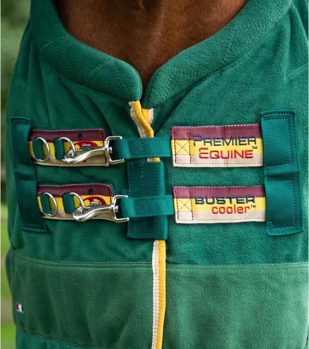 Image du produit Premier Equine Buster Continental 280g