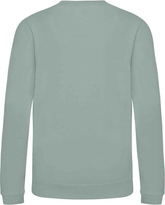 Immagine prodotto Awdis Felpa Just Hoods (128)