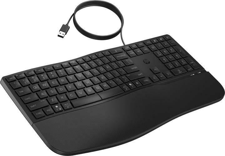 Actual product image HP 485 CFT WD KBD DE (DE, Cable)