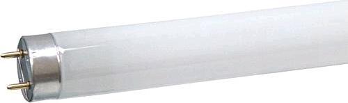 Produktbild Philips Master TL-D Super (G13, 36 W, 3350 lm, 1 x, A)