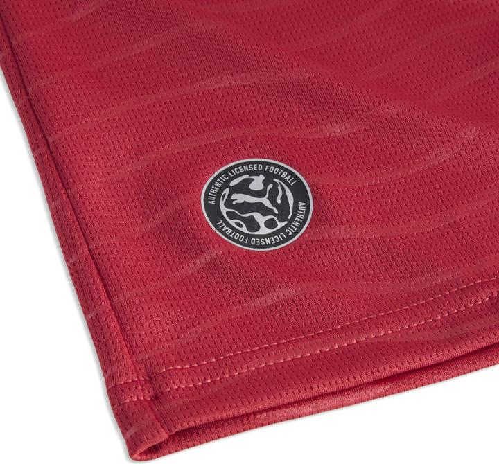 Actual product image Puma FPF Home Jersey Replica Jr Player (164)