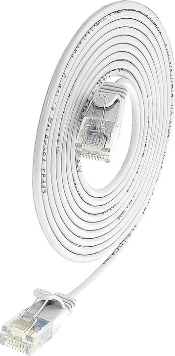 Productafbeelding Lightwin Netwerkkabel (U/UTP, CAT6, 0.50 m)