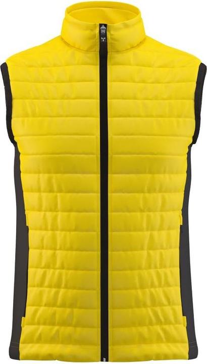Yellow/Black