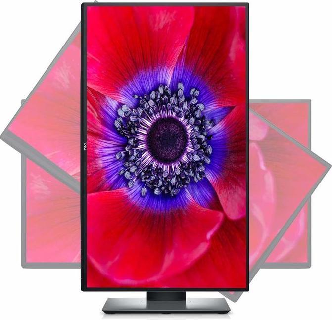 Actual product image Dell U2520D (2560 x 1440 pixels, 25")