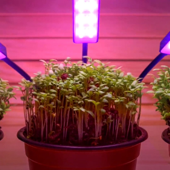 Produktbild MediaShop Bionic Grow