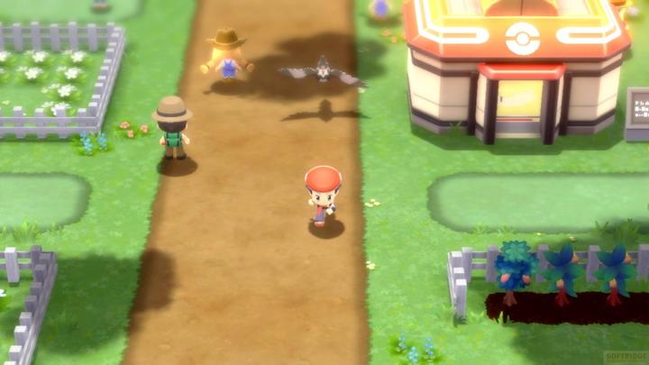 Actual product image Nintendo Pokémon Brilliant Diamond (Switch, Multilingual)