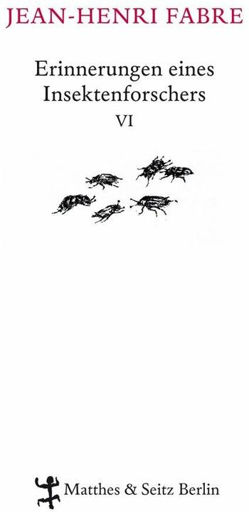 Produktbild Erinnerungen eines Insektenforschers 06 (Deutsch, Friedrich Koch, Hans Thill, Heide Lipecky, Jean-Henri Fabre, 2015)