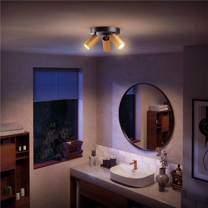 Actual product image Philips Idris (GU10)